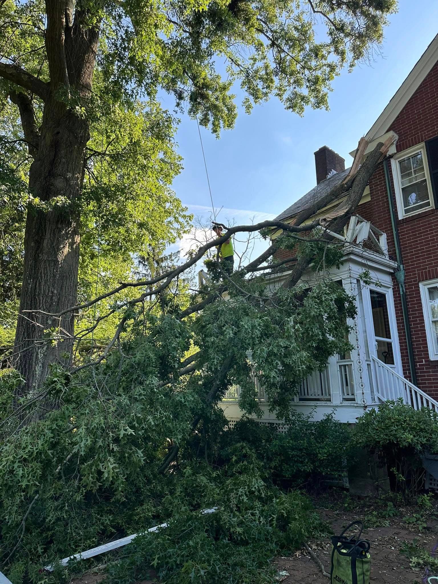 Tree fallen on a home, cleared by the crew