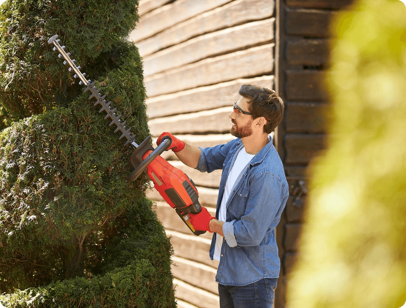 Tree Trimming & Pruning
